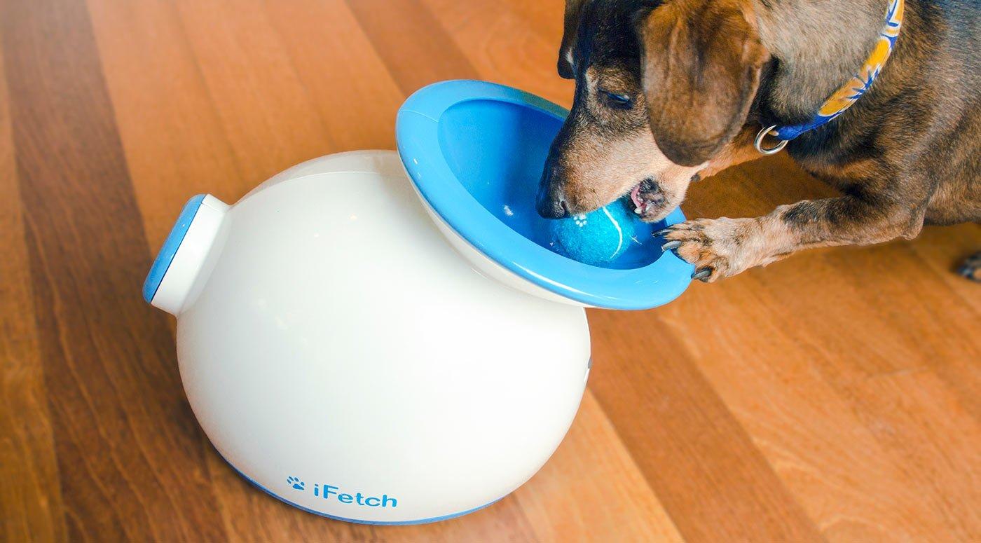 iFetch Automatic catch ball machine for dogs