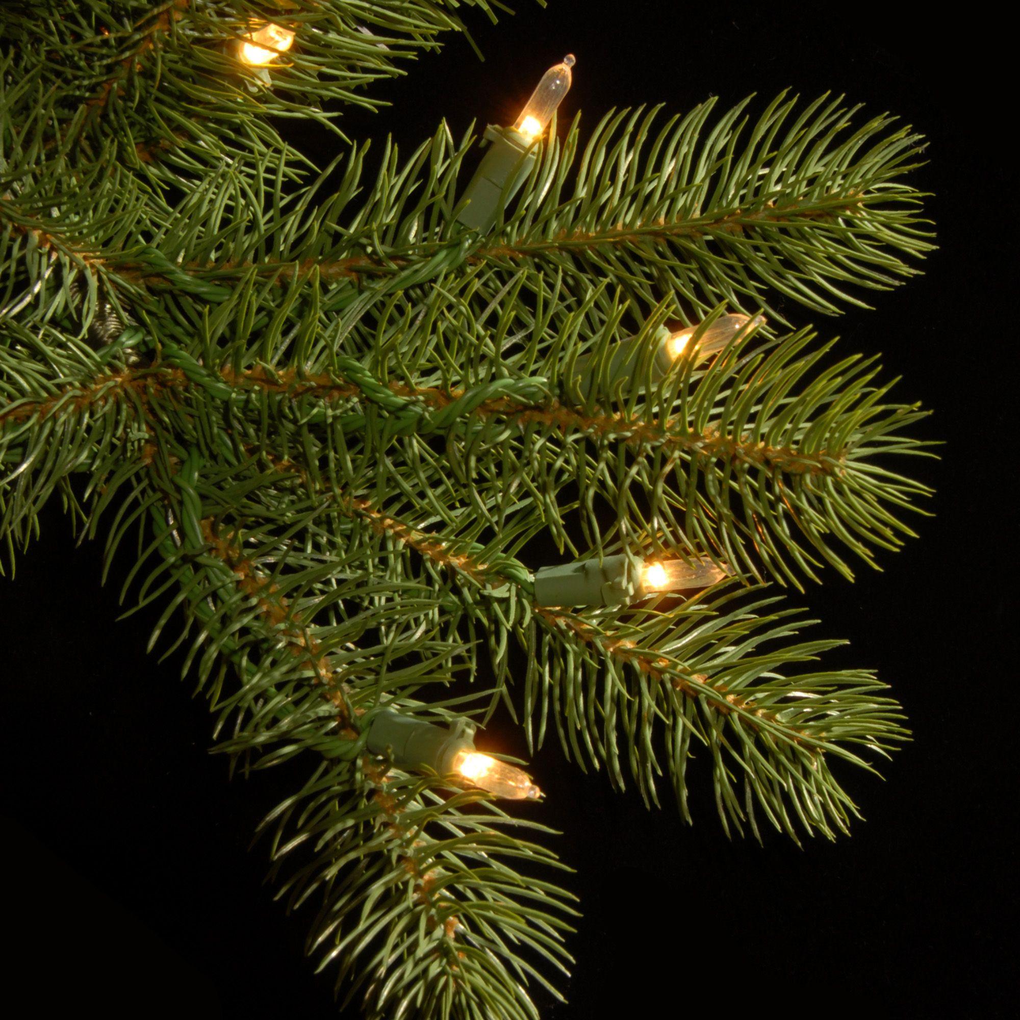 Pre-Lit Downswept Douglas Fir Artificial Christmas Wreath - 48-Inch, Clear Lights