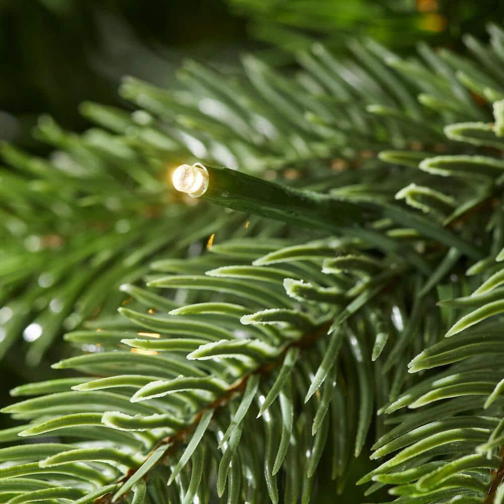 7.5 ft. Westwood Fir Christmas Tree