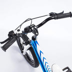 RoyalBaby Boys Girls Kids Bike BMX Freestyle 2 Hand Brakes Bicycles with Training Wheels Child Bicycle