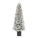 6.5 ft Noble Pine Flocked Potted Christmas Tree