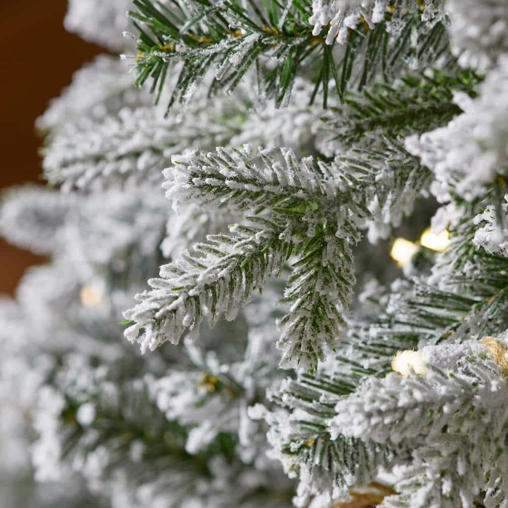 6.5 ft Noble Pine Flocked Potted Christmas Tree