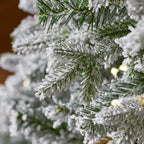 6.5 ft Noble Pine Flocked Potted Christmas Tree