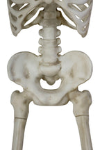 Way To Celebrate 10ft Giant Poseable Skeleton, Outdoor Halloween Decoration