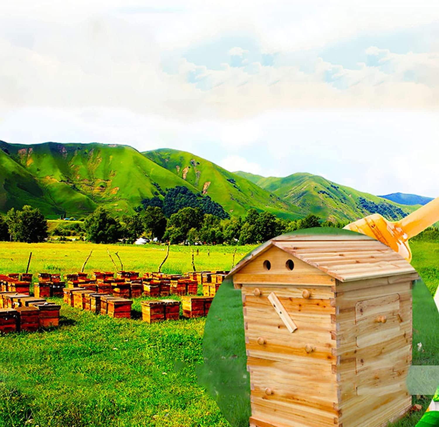 fumeng auto flow beehive,wooden flow hive beehive house kit no pollution beekeeping honey for beekeepers food grade bpa,7 beehives
