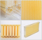fumeng auto flow beehive,wooden flow hive beehive house kit no pollution beekeeping honey for beekeepers food grade bpa,7 beehives