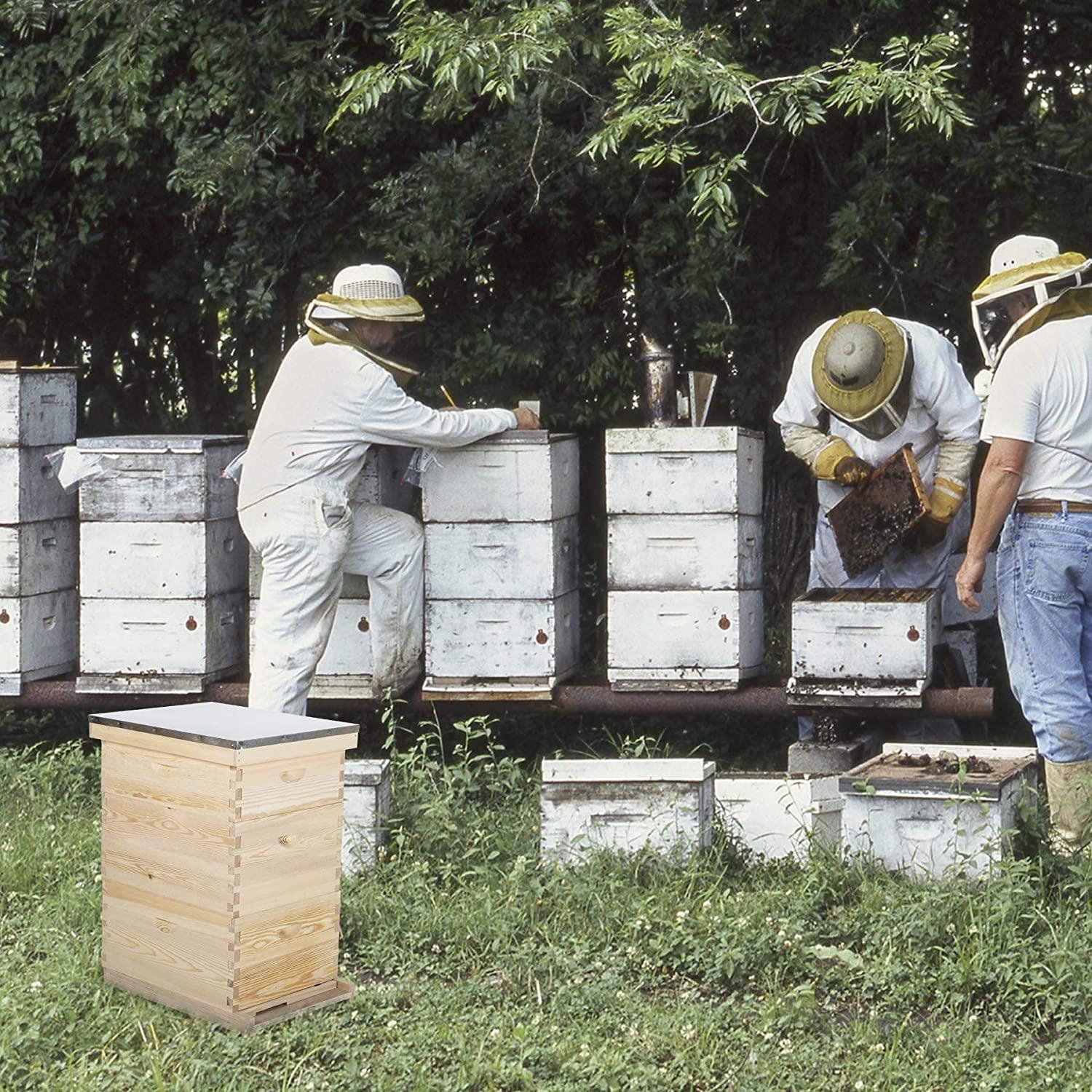 co-z langstroth 30-frame bee hive with 10 medium 20 deep honeycomb foundation frames, bee box for beekeeper starter kit, beekeeping supplies equipment, wood complete honey beehives, 3-tier bees house