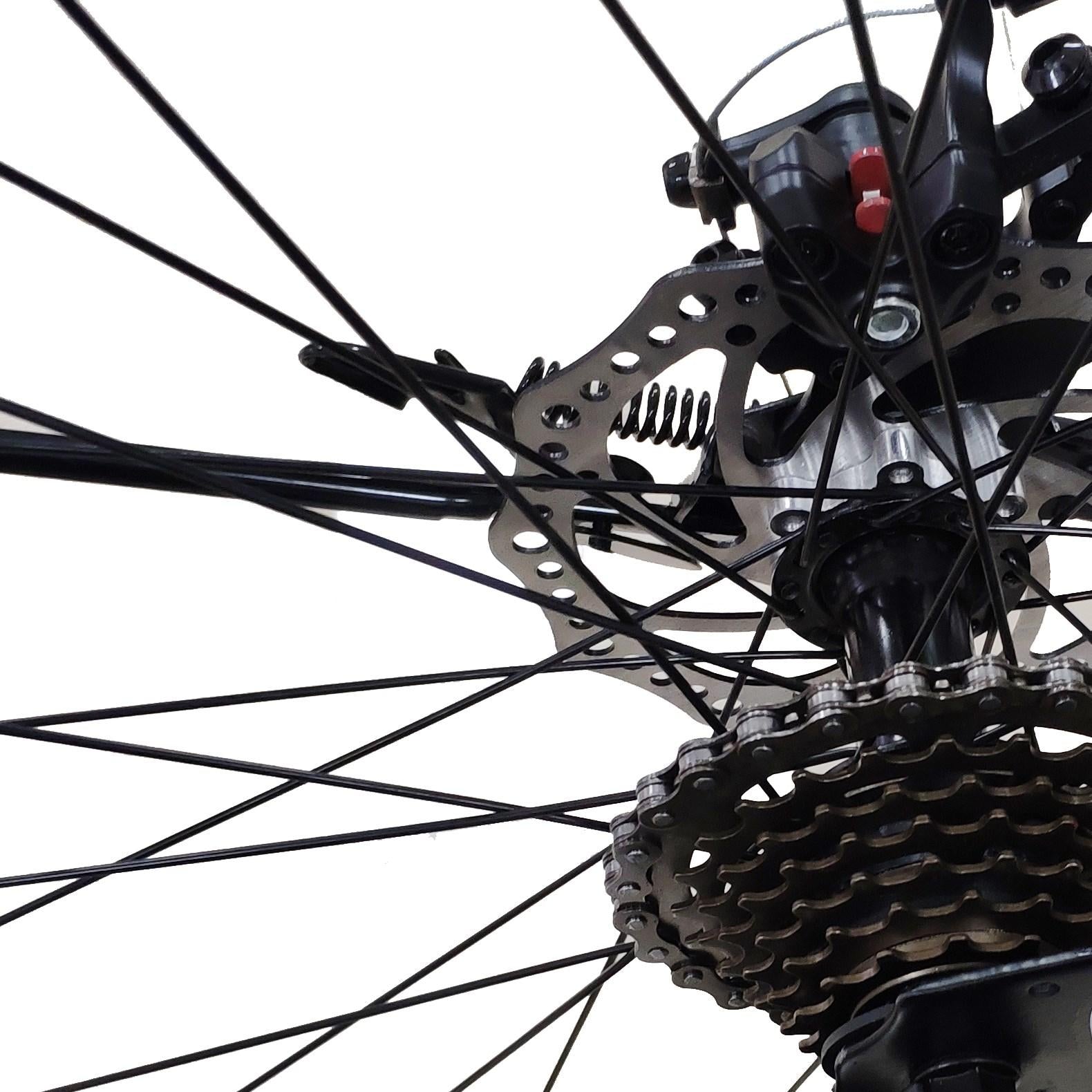 Mad Hornets Unisex Mountain Bike 26" Wheels 21 Speed Bicycle Disc