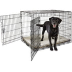 You &amp; Me 2-Door Folding Dog Crate