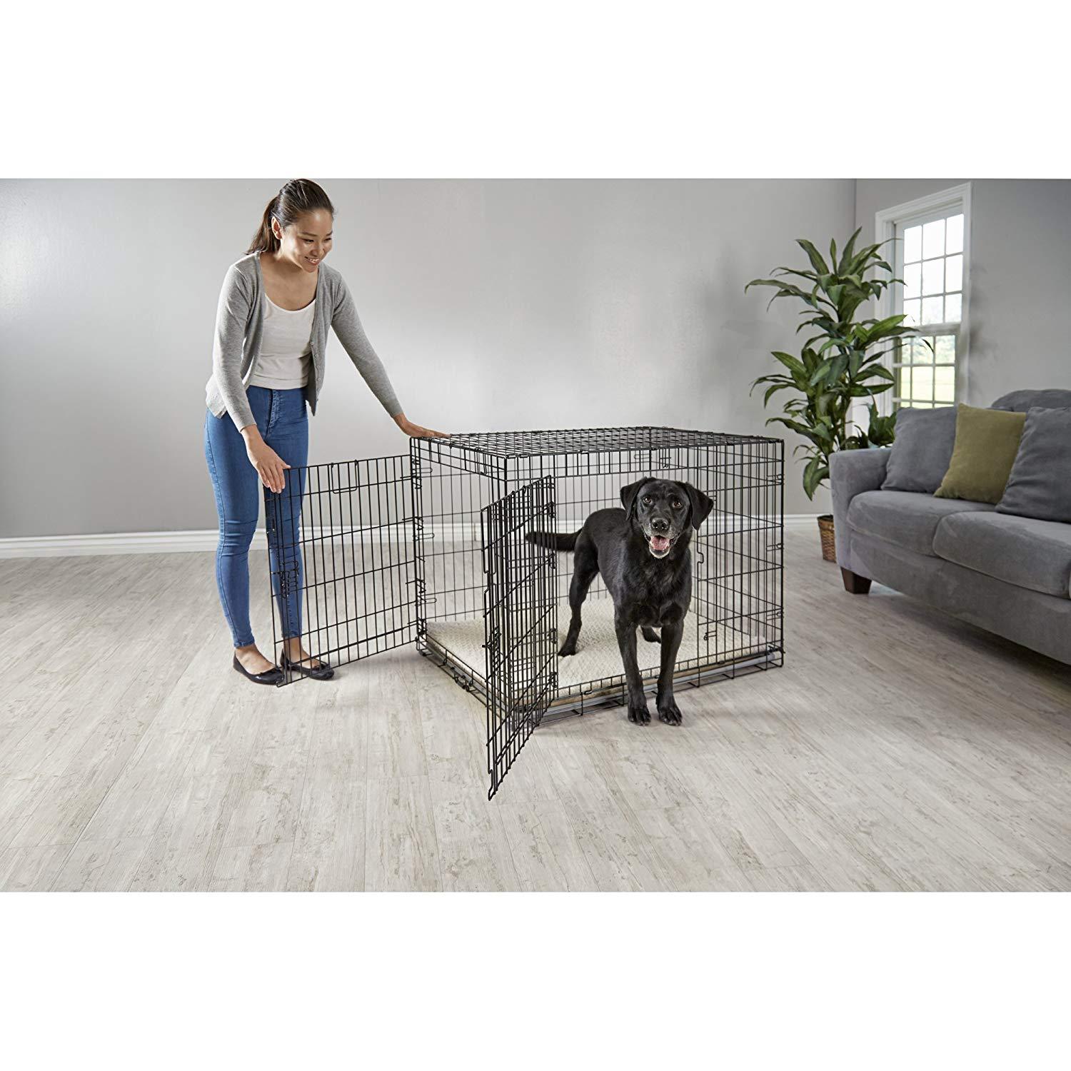 You &amp; Me 2-Door Folding Dog Crate