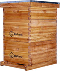 bee hive 10 frame complete bee hives and supplies starter kit, beeswax coated beehives for beginners with bee hive frame and waxed foundation include 2 deep hive box and 1 medium bee hive super
