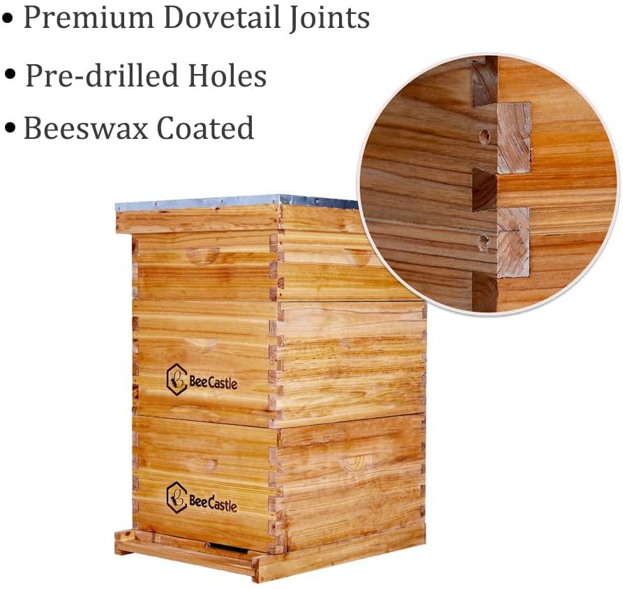 bee hive 10 frame complete bee hives and supplies starter kit, beeswax coated beehives for beginners with bee hive frame and waxed foundation include 2 deep hive box and 1 medium bee hive super
