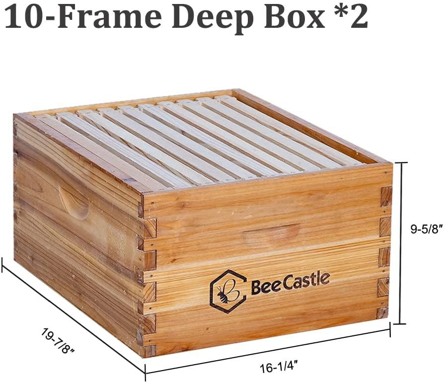 bee hive 10 frame complete bee hives and supplies starter kit, beeswax coated beehives for beginners with bee hive frame and waxed foundation include 2 deep hive box and 1 medium bee hive super