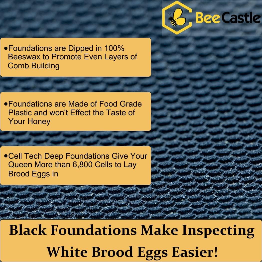 bee hive 10 frame complete bee hives and supplies starter kit, beeswax coated beehives for beginners with bee hive frame and waxed foundation include 2 deep hive box and 1 medium bee hive super