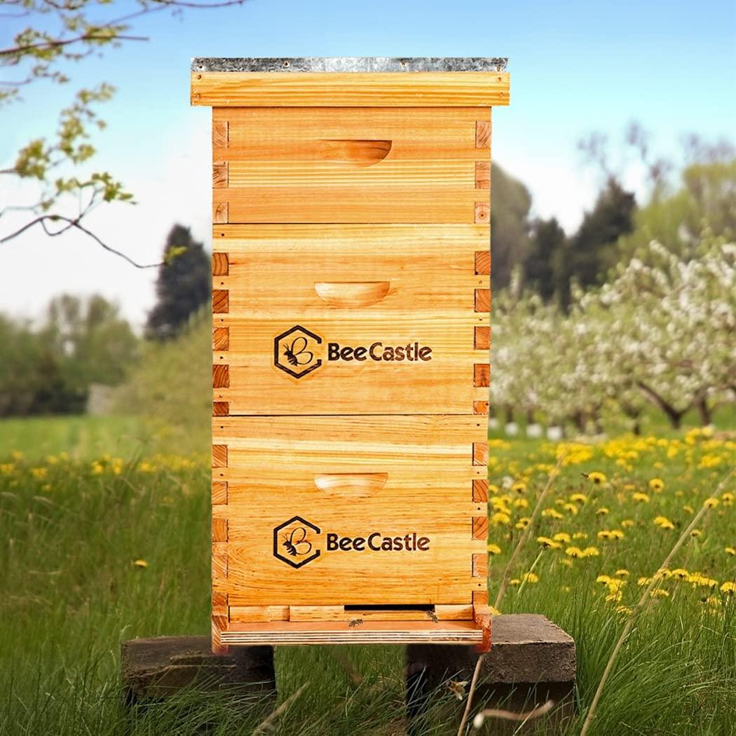 bee hive 8 frame complete bee hives and supplies starter kit, waxed beehives for beginners with bee hive frame and waxed foundation include 2 deep hive box and 1 medium bee hive super