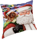 BEROVE Square Pillow Decorations Backrest Pillow Christmas Decorative Pillows