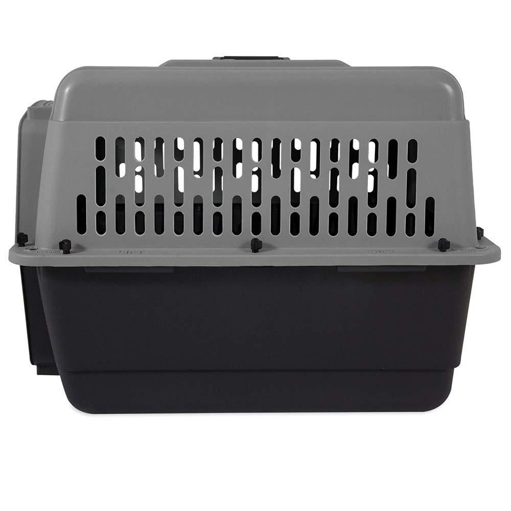 Petmate Pet Porter Large, Light Gray