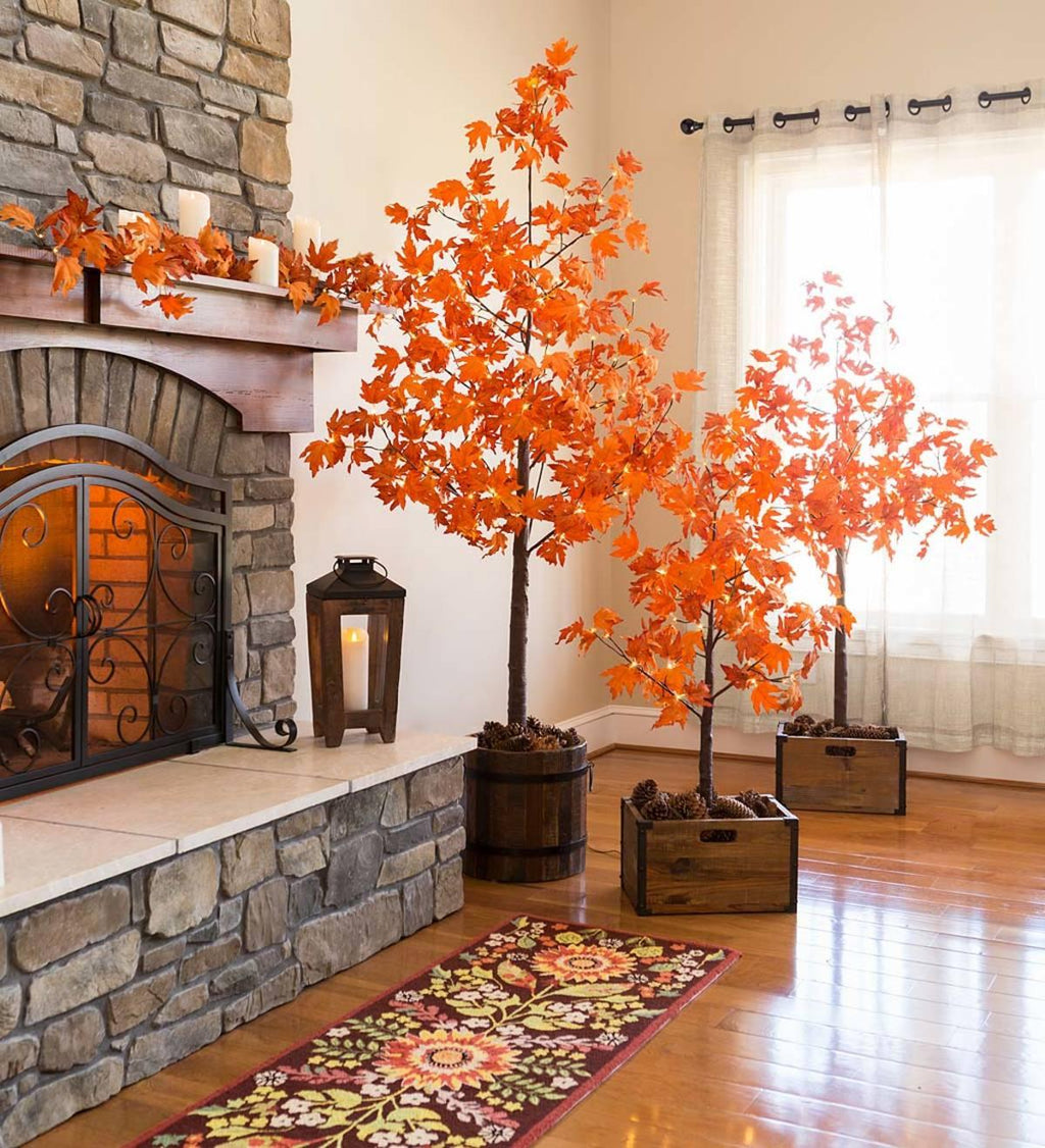 Plow &amp; Hearth Indoor/Outdoor Electric Lighted Maple Tree, 6'H with 96 Lights
