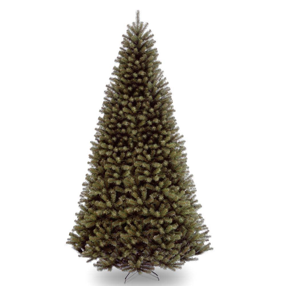 16 ft. North Valley Spruce Tree