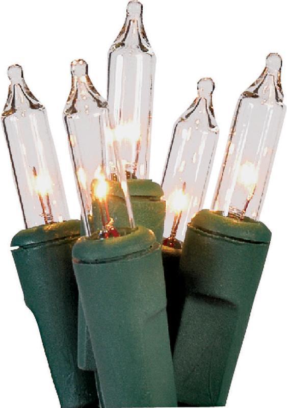 Holidaybasix 5561584 Light Set Mini Clear 100 L Pack Of 24