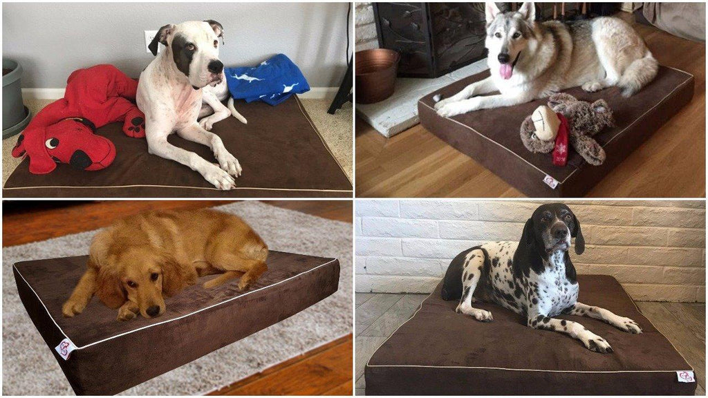 OnePet-TwoPet LarDog Bed Pillow Extra Big Pet Orthopedic Dual Layer Memory Foam | Therapeutic for Arthritis Dysplasia | Washable Cover 44x35x6