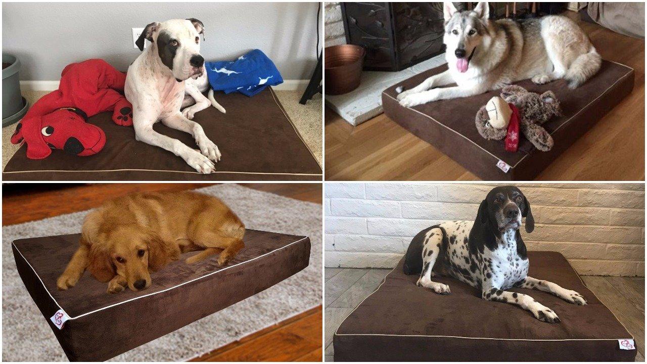 OnePet-TwoPet LarDog Bed Pillow Extra Big Pet Orthopedic Dual Layer Memory Foam | Therapeutic for Arthritis Dysplasia | Washable Cover 44x35x6