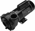 waterway ex 2 48-frame 2hp dual-speed spa pump, 2in. intake, 2in. discharge,