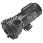 waterway ex 2 48-frame 2hp dual-speed spa pump, 2in. intake, 2in. discharge,