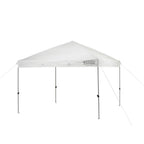 Smartshade 10 ft. x 10 ft. Canopy