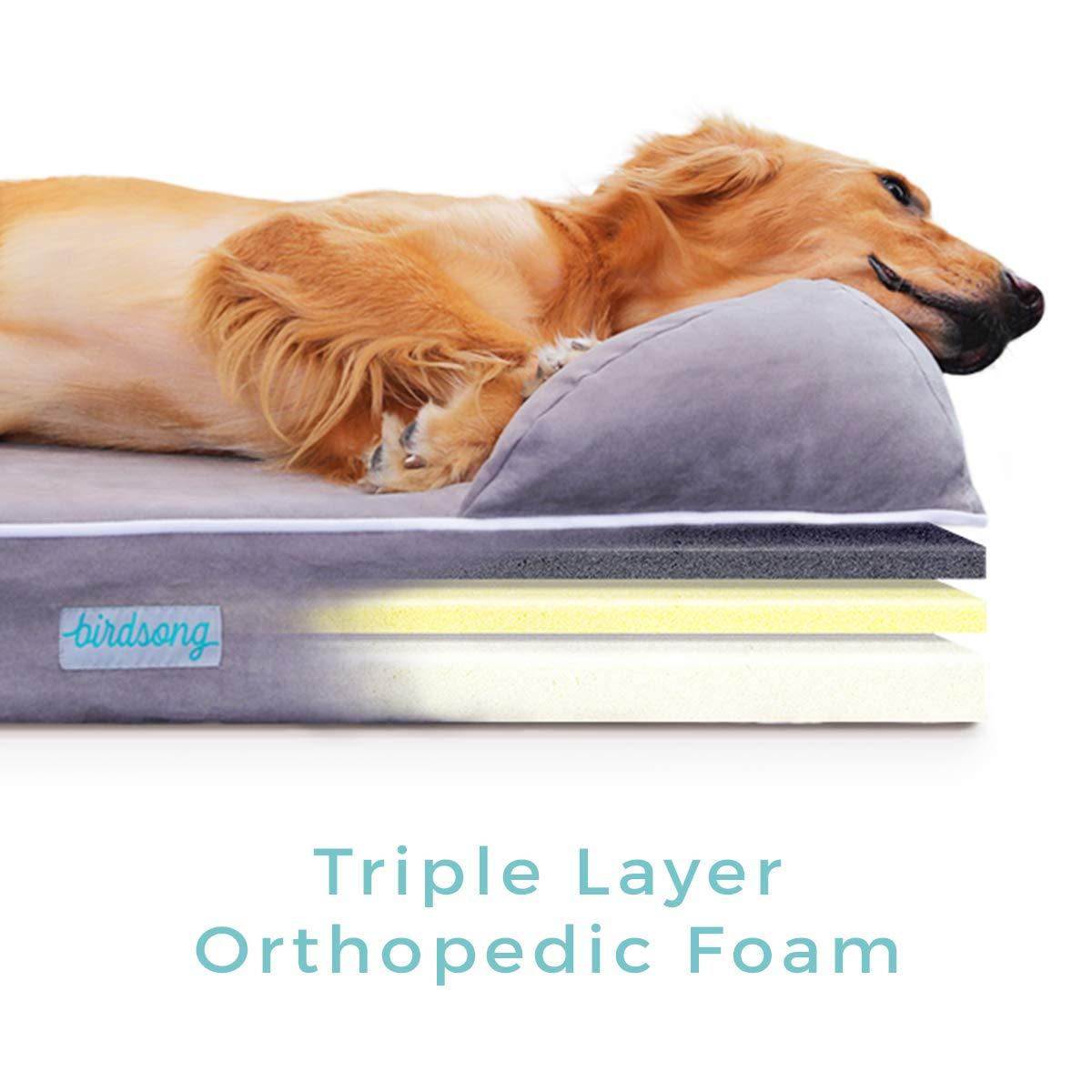 PLS Birdsong Rya - LarDog Bed with Triple-Layer Orthopedic Foam, Memory Foam Dog Bed for LarDogs