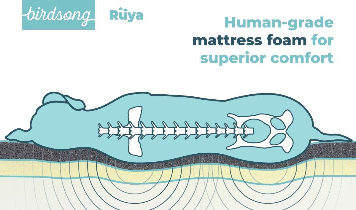PLS Birdsong Rya - LarDog Bed with Triple-Layer Orthopedic Foam, Memory Foam Dog Bed for LarDogs