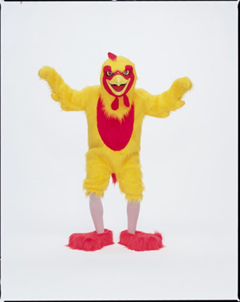 Easter Bunny Costume