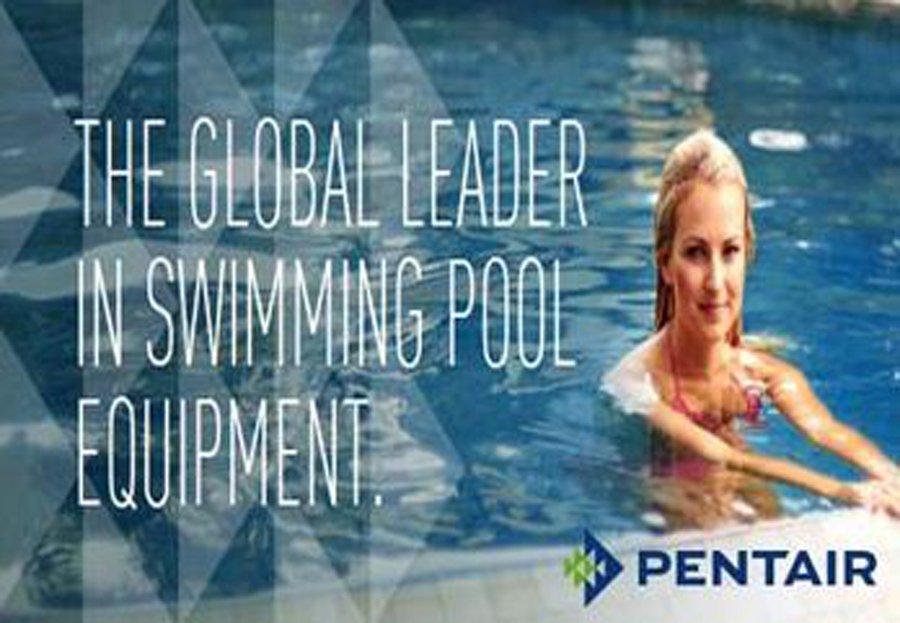 pentair 59023300 complete element grid assembly 60 sq ft pool de filter fns plus