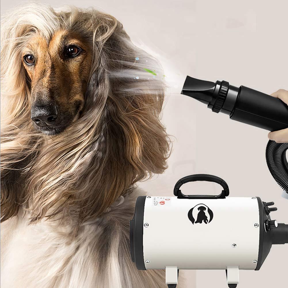 Pet Grooming Blower-2200W for LarSmall Dogs Cats Variable Speed&amp;Temperature White