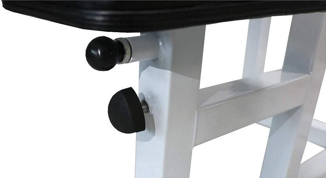 Preacher Curl Bench (DF306) by Deltech Fitness