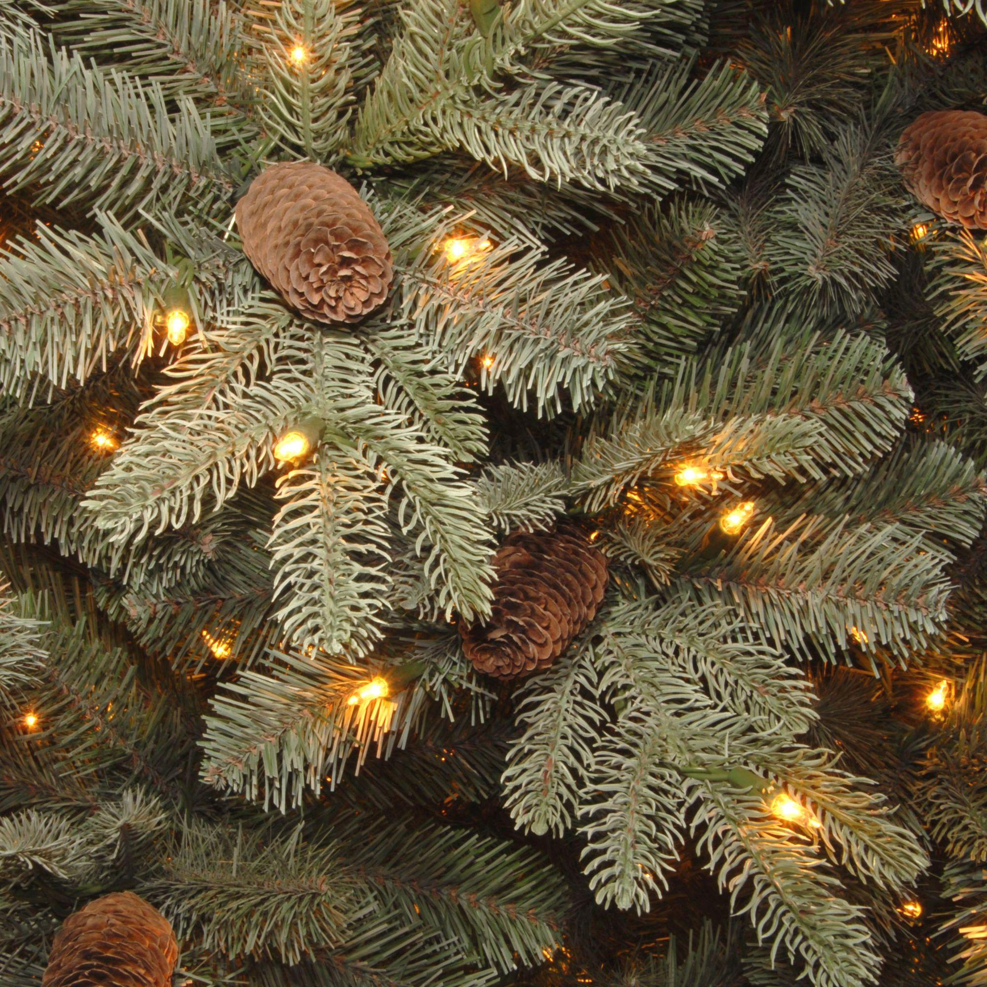 National Tree Company Clear Prelit Incandescent Green Spruce Christmas Tree, 7.5'