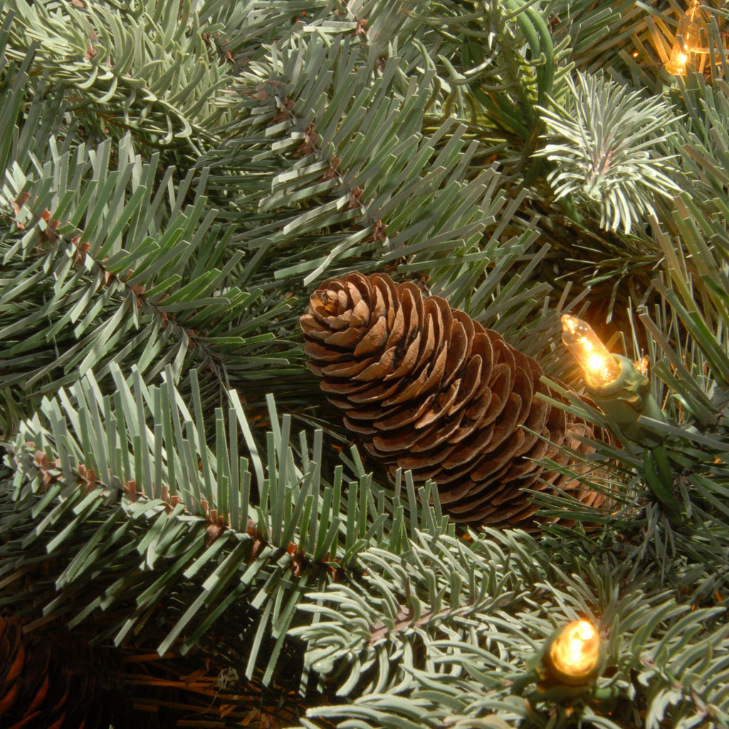 National Tree Company Clear Prelit Incandescent Green Spruce Christmas Tree, 7.5'