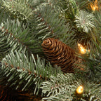 National Tree Company Clear Prelit Incandescent Green Spruce Christmas Tree, 7.5'