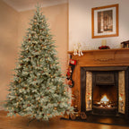 National Tree Company Clear Prelit Incandescent Green Spruce Christmas Tree, 7.5'