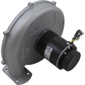 PENTAIR POOL PRODUCTS Blower Kit, Pentair MasterTemp 175/200/Max-E-Therm 200, Nat.