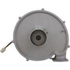 PENTAIR POOL PRODUCTS Blower Kit, Pentair MasterTemp 175/200/Max-E-Therm 200, Nat.