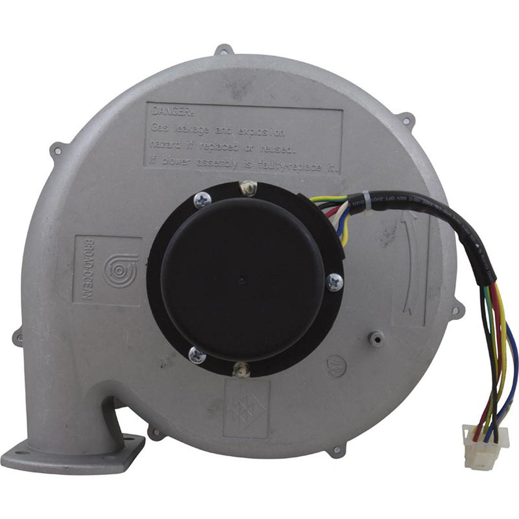 PENTAIR POOL PRODUCTS Blower Kit, Pentair MasterTemp 175/200/Max-E-Therm 200, Nat.