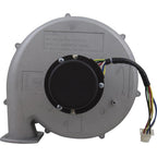 PENTAIR POOL PRODUCTS Blower Kit, Pentair MasterTemp 175/200/Max-E-Therm 200, Nat.