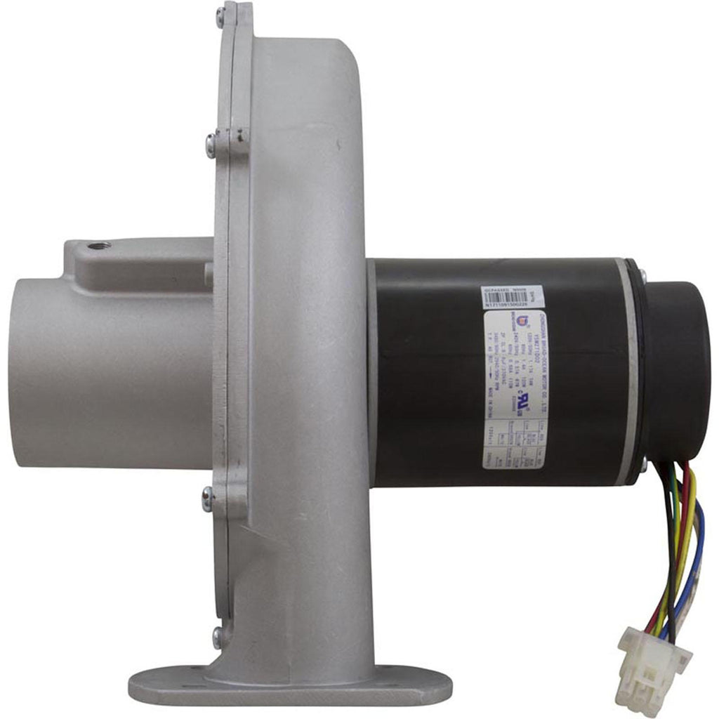 PENTAIR POOL PRODUCTS Blower Kit, Pentair MasterTemp 175/200/Max-E-Therm 200, Nat.