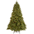 7 ft. Downswept Douglas Fir Artificial Christmas Tree with Clear Lights