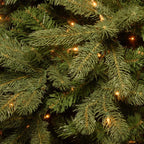 7 ft. Downswept Douglas Fir Artificial Christmas Tree with Clear Lights