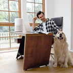levoit air purifier for home allergies pets hair in bedroom, h13 true hepa filter