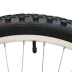 Punisher Dual-Suspension Unisex All-Terrain Mountain Bike