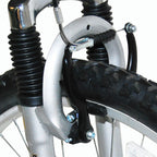 Punisher Dual-Suspension Unisex All-Terrain Mountain Bike