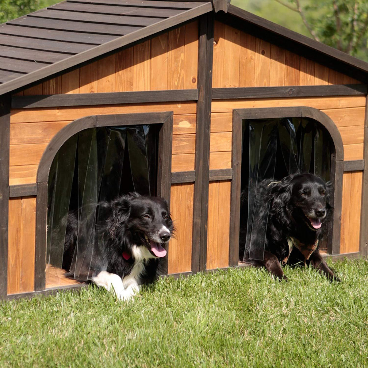 Merry Products Merry Products Darker Stain Duplex Dog House with Dog Doors, Wood, Extra Large